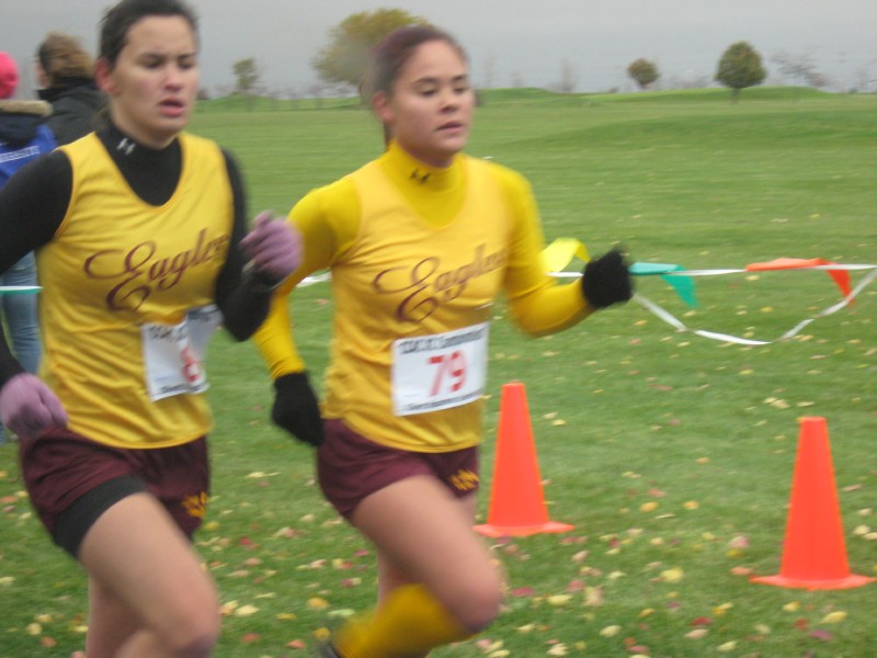 Chicagoland Collegiate Athletic Association Championship Meet